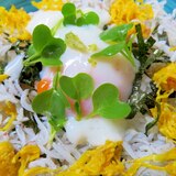 花丼・シラスと食用菊・菊花の彩ご飯